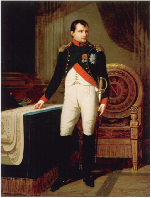 Robert Lefèvre (1756-1830), Napoléon Ier en uniforme de colonel des chasseurs de garde, image via napoleon.org