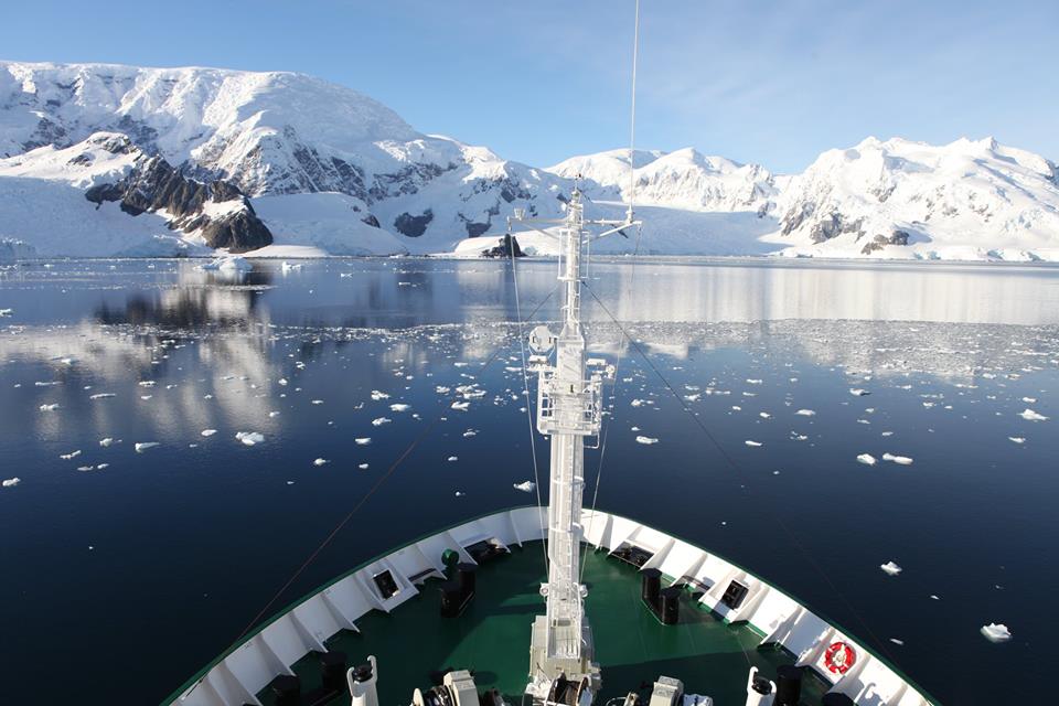 Image: antarcticbiennale.com