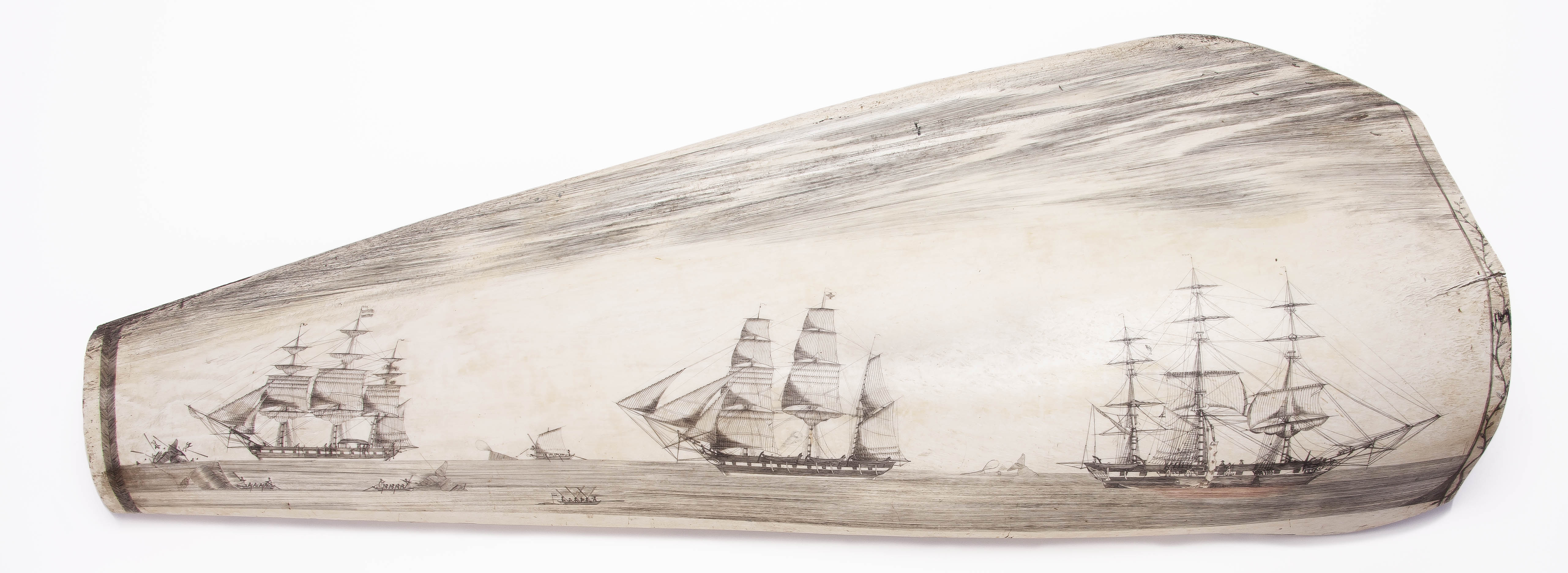 NHA_Engraved Panbone