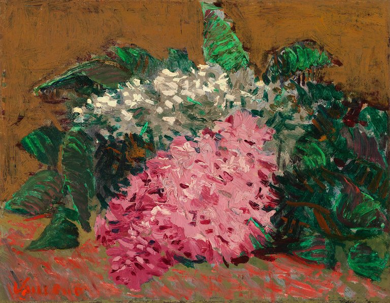 lilacs