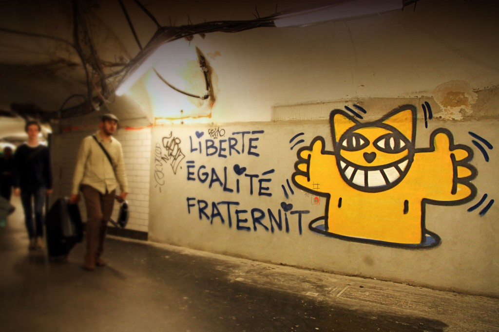 M.Chat dans le métro parisien Image via monsieurchat.fr