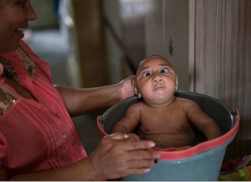 © Felipe Dana / The Associated Press « Le virus Zika »