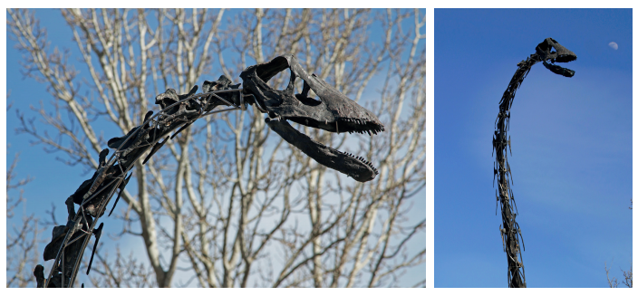 The Diplodocus skeleton has very rare skin impressions, image © Aguttes