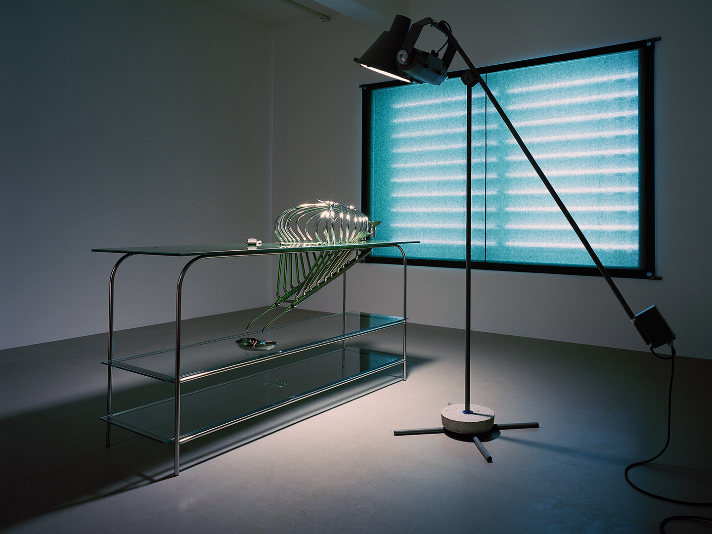 TABLE II. 165 x 75 x 200 cm. Akryl, floatglas, mässing, krom, koppar, rostfritt stål, gummi och säkerhetsbälte. Foto: Åke E:son Lindman. Moderna Museet samling.