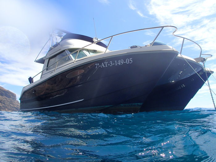 Motorized catamaran "EXCITECAT 810 Fly" - 2005