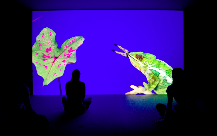 Bom Bom’s Dream, 2016 by Jeremy Deller and Cecilia Bengolea Image courtesy the artists