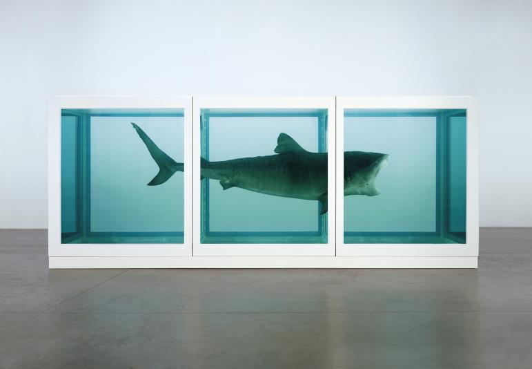 Damien Hirst, The Physical Impossibility of Death in the Mind of Someone Living , 1991.