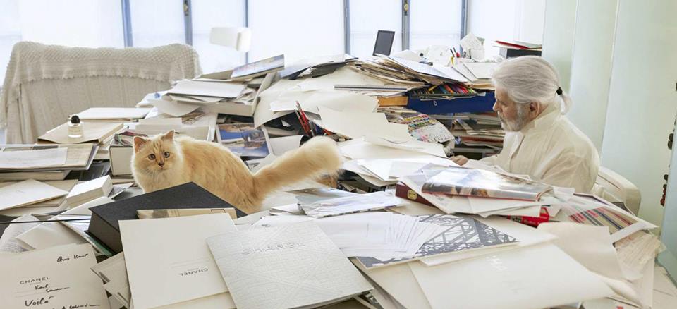 Karl Lagerfeld und Choupette | Abb.: Facebook/@MademoiselleChoupetteLagerfeld