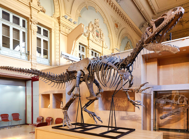 Le spécimen du dinosaure Allosaure a été exposé à la Gare de Lyon-Brotteaux