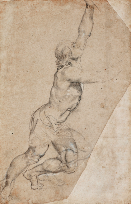 Pierre Paul Rubens, Studio di nudo, giovane uomo a mani alzate, immagine ©Sotheby's