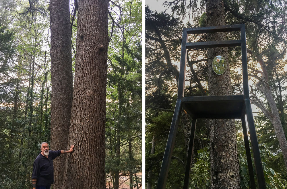 Bruno Boretti in the Pinetum. Photo © Francesca Anichini