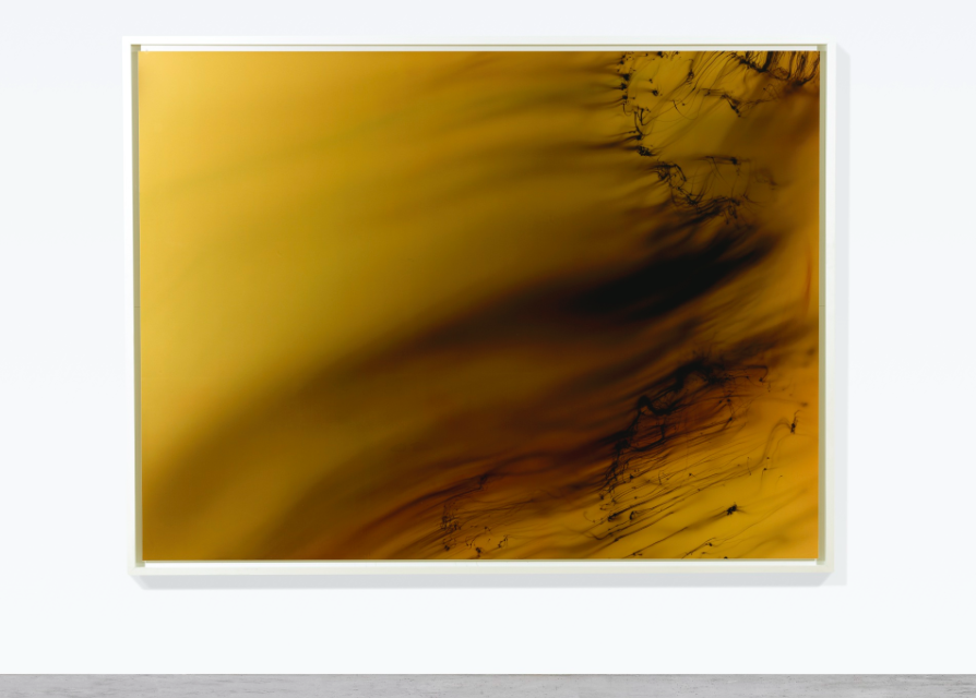 Wolfgang Tillmans, Freischwimmer 119, 2005