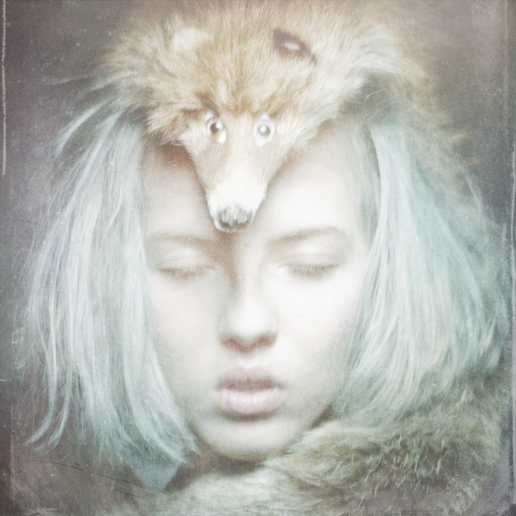 Linda Nyboms "The Fox", Galleri Axel.