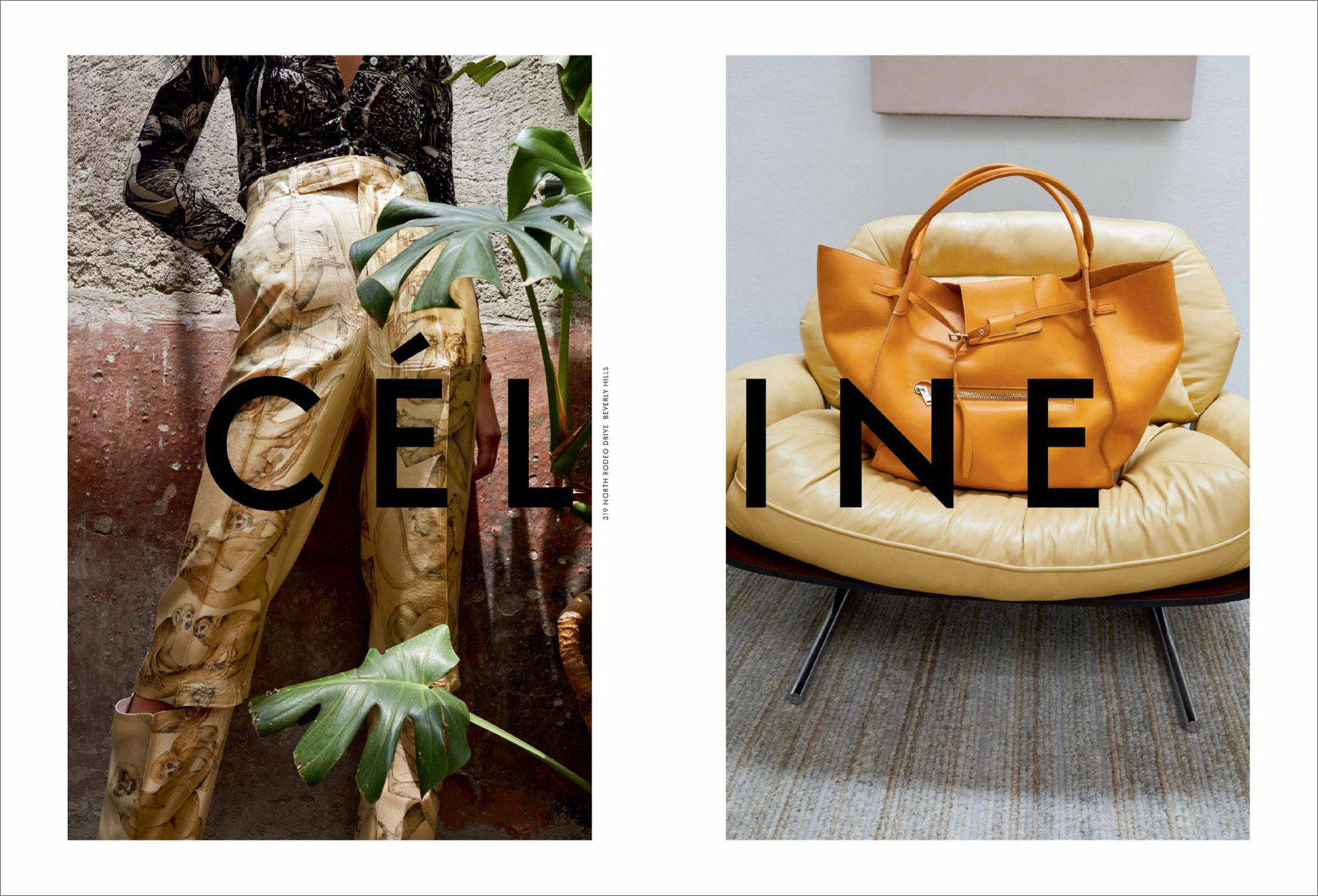 Celine-fall-2017-ad-campaign-the-impression-01_1