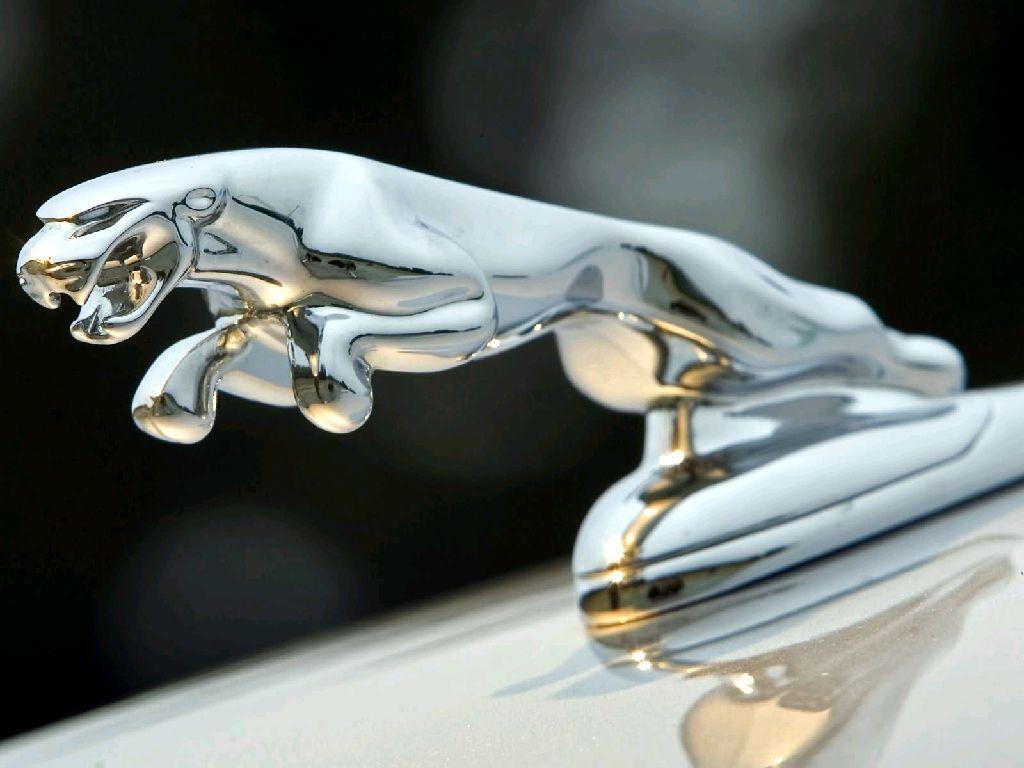 Jaguar Icon