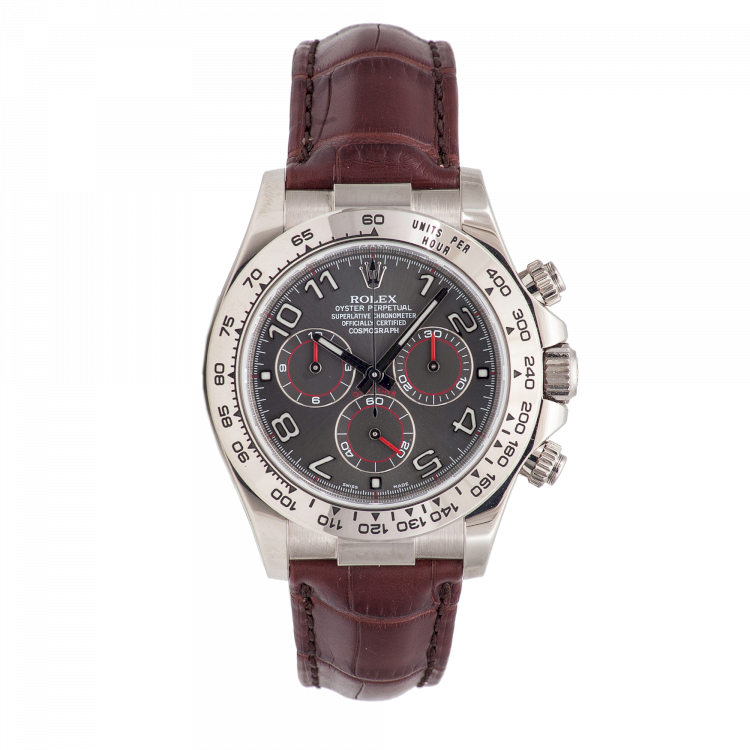 Rolex Daytona, 2014. Foto: Omnivalor.