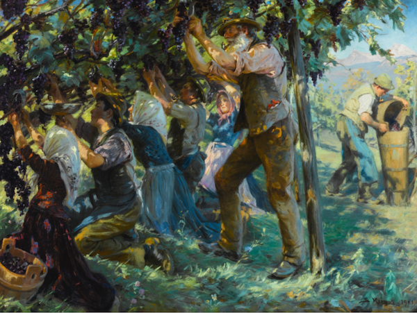 kroyer