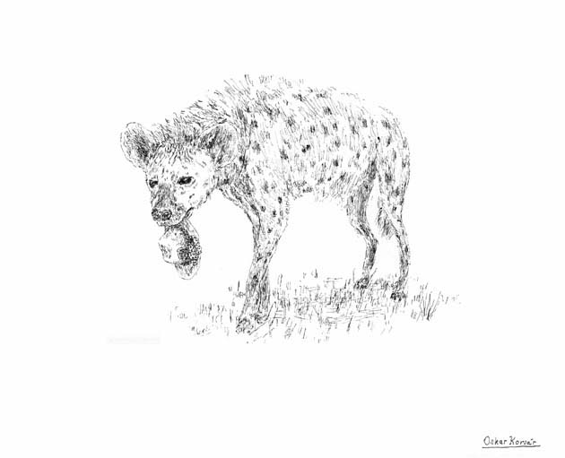 Oskar Korsár – Hyena med damhatt, 2004