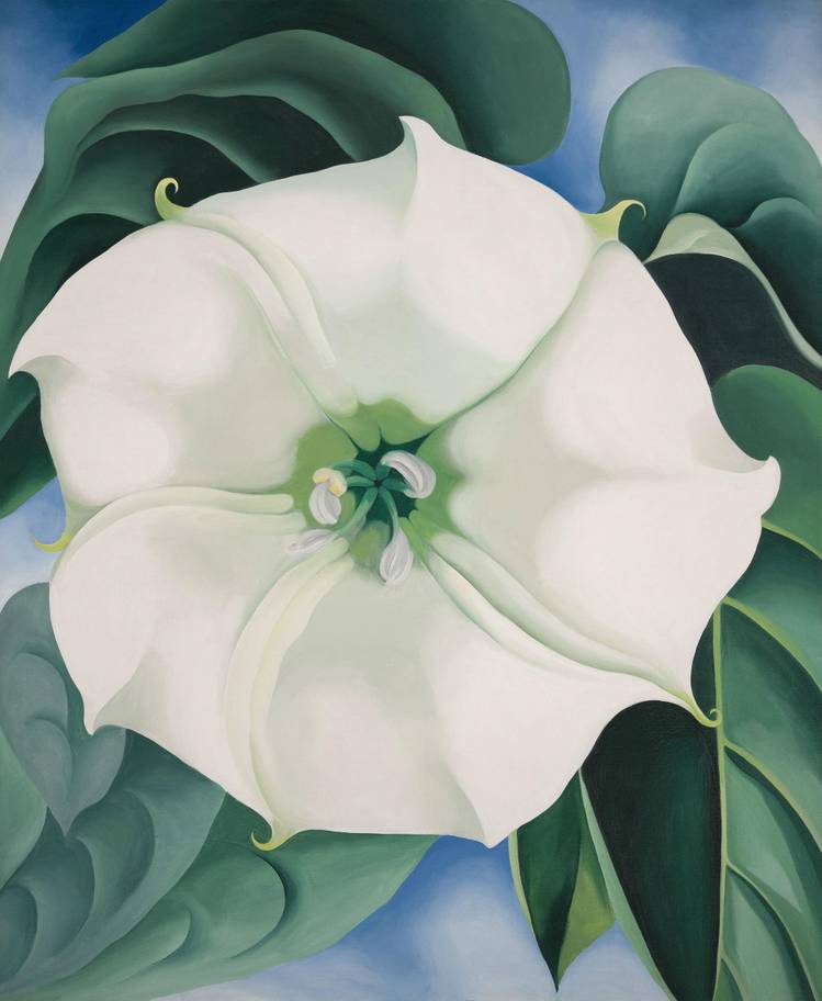 Georgia O’Keeffe, « Jimson Weed: White Flower No. 1 », 1932, image via The Independent