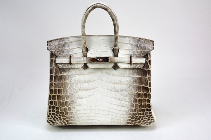 Hermès - Birkin 25, Niloticus leather in 'Himalaya'