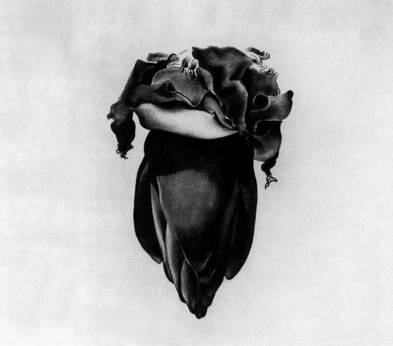 Georgia O'Keffee, « Banana Flower », 1933, image via Art Slack
