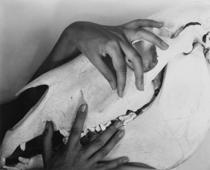 Les mains de O'Keeffe, photographie par Alfred Steiglitz, image ©Museum of Fine Art, Boston