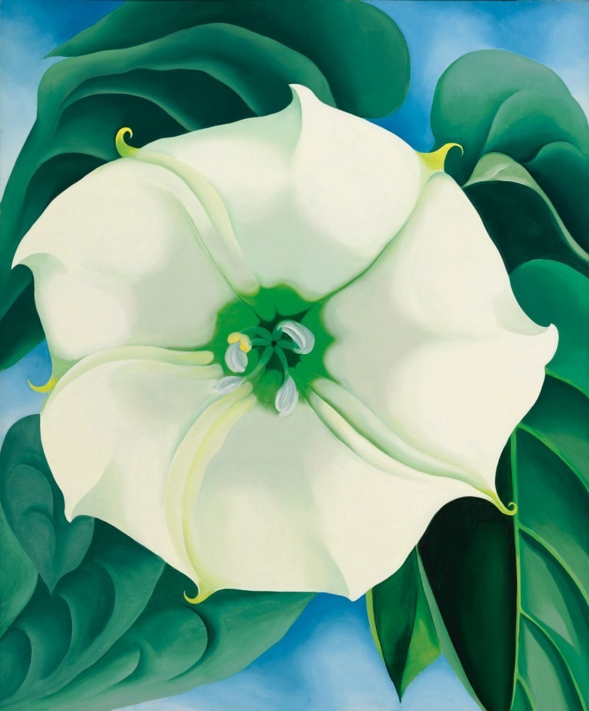 Jimson Weed:White Flower No. 1. Immagine via Barnebys
